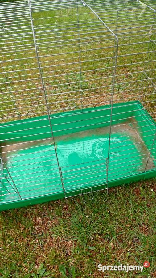Klatka duża do gryzonia Więckowice sprzedam