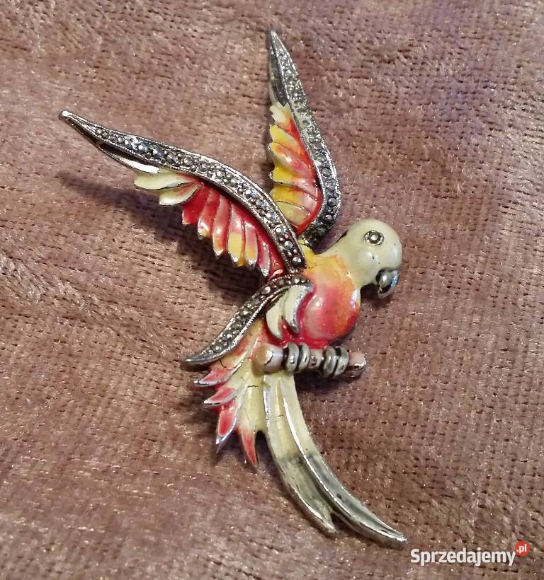 Stara angielska broszka papuga Ochojno