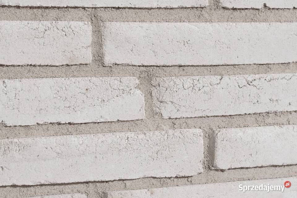 Long Tom White Warszawa