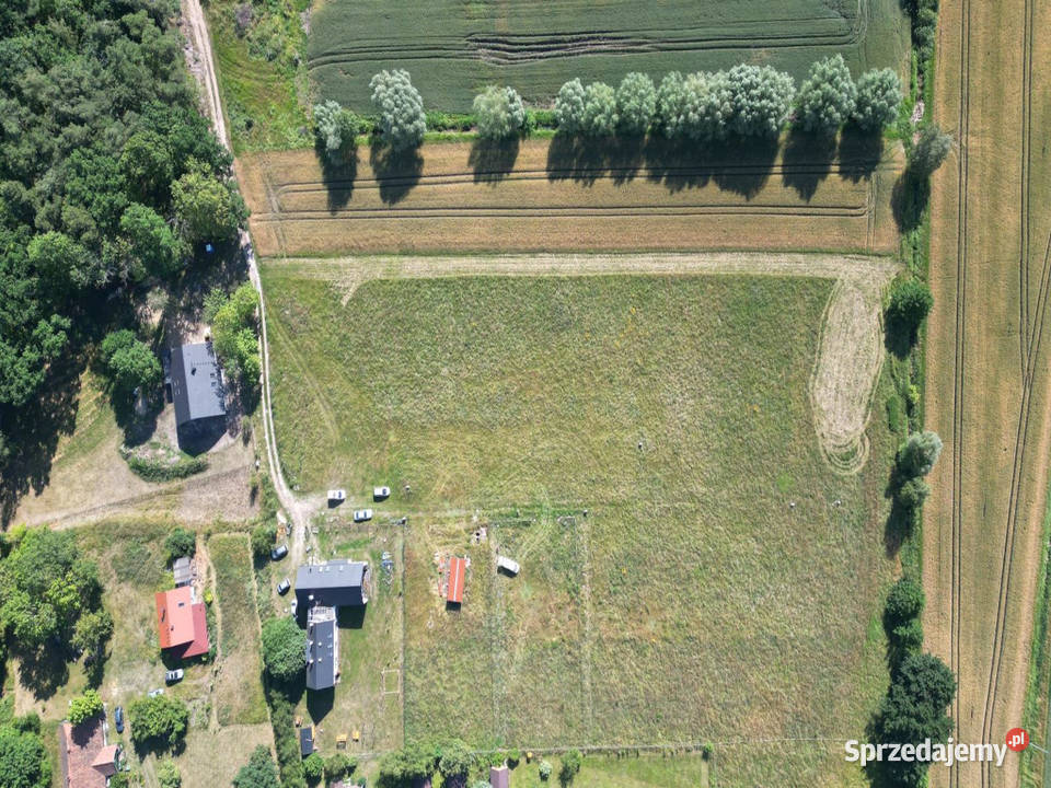 Mikoszewo I 3 działki I która najbardziej Ci polna sprzedam