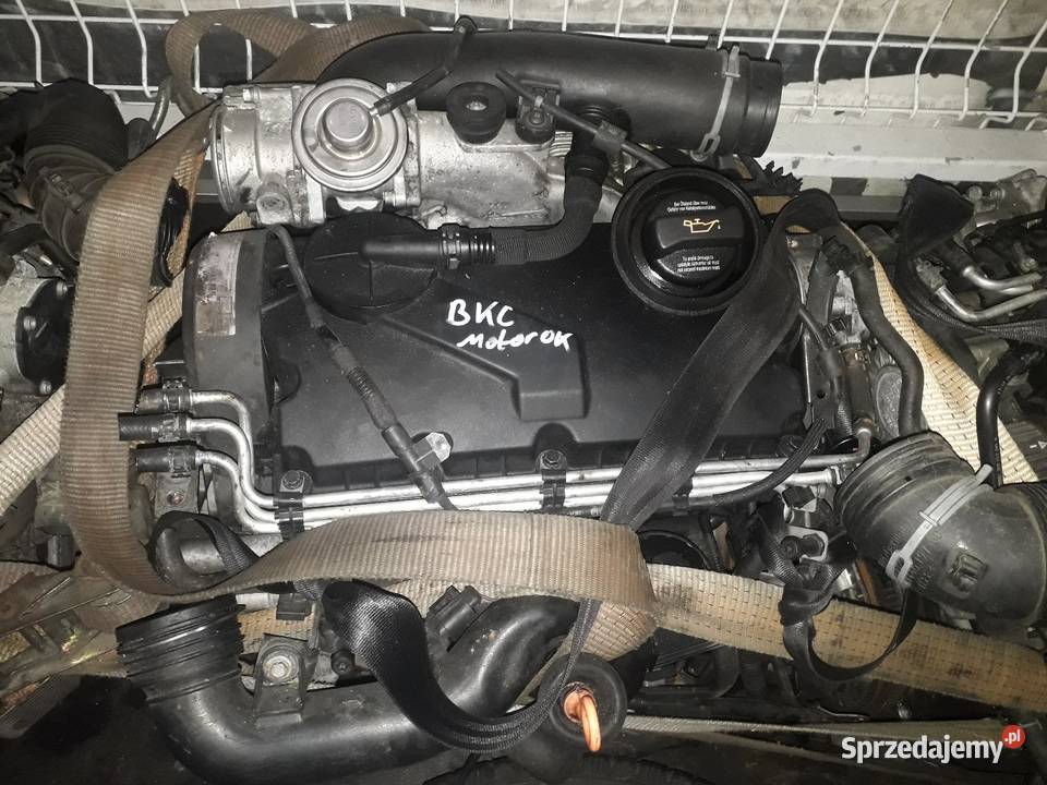 Silnik 19 TDI BKC Rok produkcji 2007 Silniki kompletne Kolbuszowa