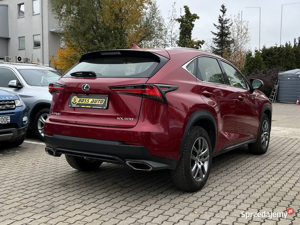 Lexus NX 300 2019 Warszawa