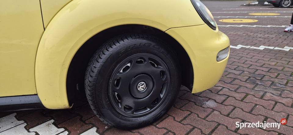 VW Beetle Bydgoszcz