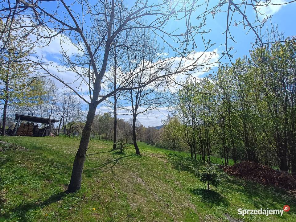 Dom drewniany do zamieszkania działka 24ary mieszkalny Malinówka