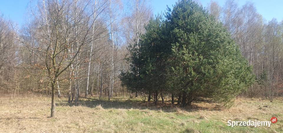 Działka na sprzedaż Piaseczno
