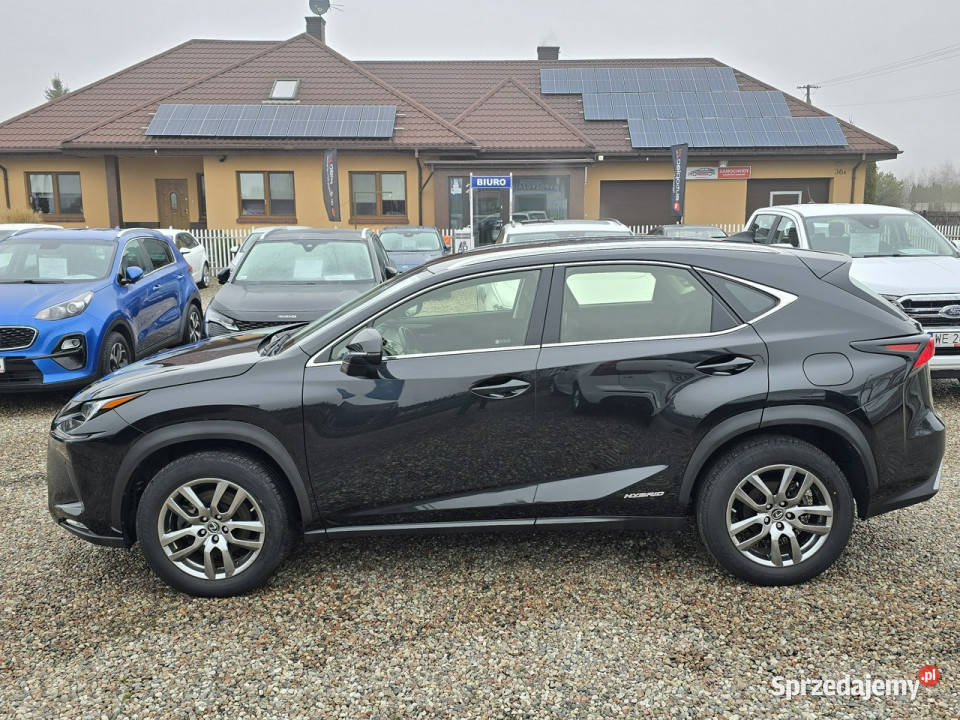 Lexus NX 300h HYBRID AWD 4x4 Elegance Salon kujawsko-pomorskie