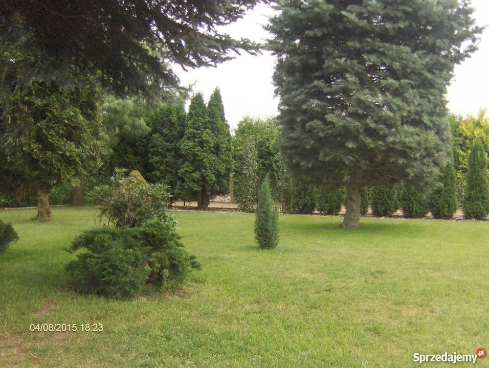 sprzedam działkę ROD Złotowska Grunty i działki Poznań