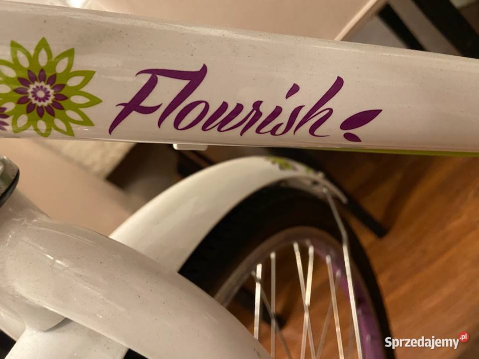 Rower dziewczęcy Giant Liv flourish Janki