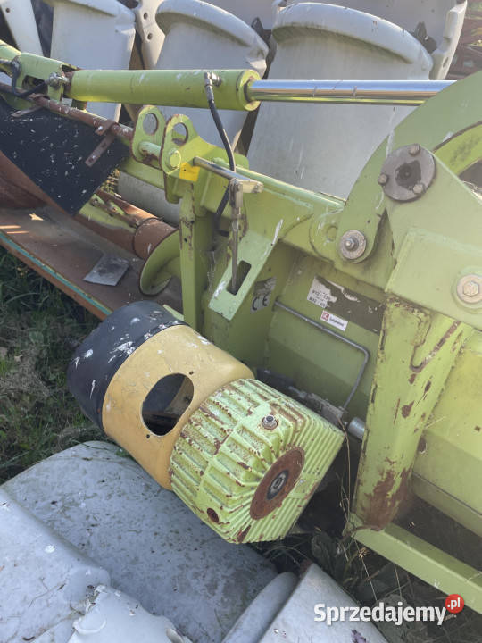 Claas Conspeed 875 FC przystawka do kukurydzy Rolnictwo