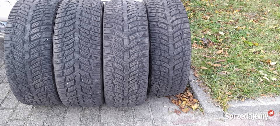 komplet opon zimowych Autogreen Snow Chaser 2 17cale Kwidzyn