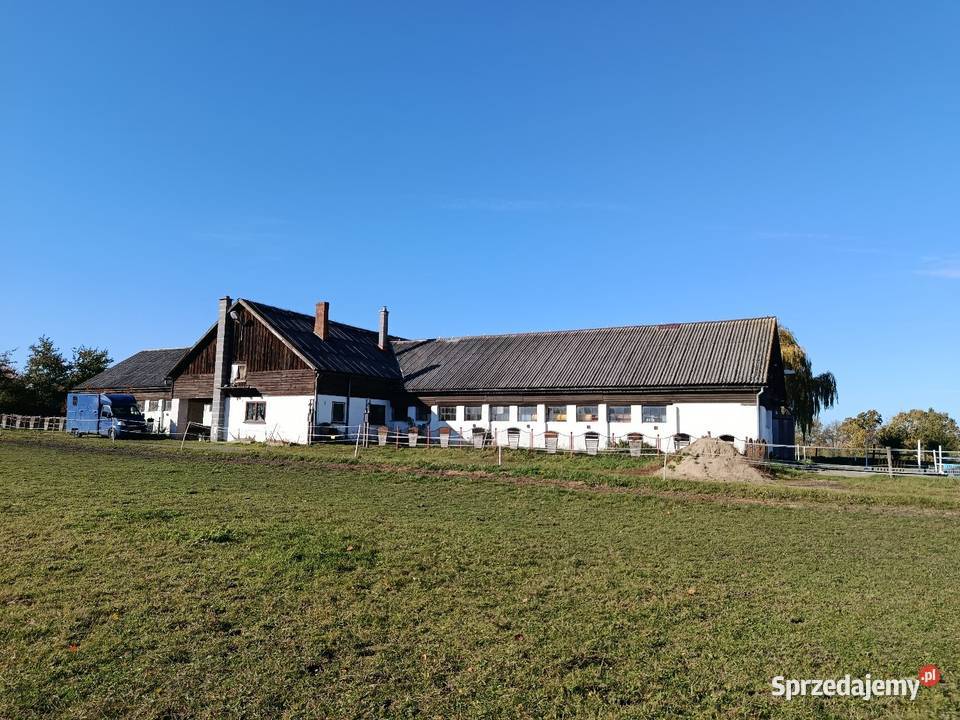 Stajnia mieszkanie gospodarstwo rolne 2ha woj Prudnik