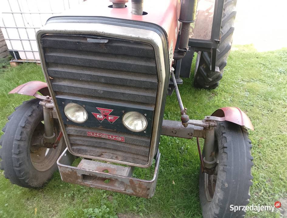 Massey Ferguson 255 Ursus 1989 Namysłów