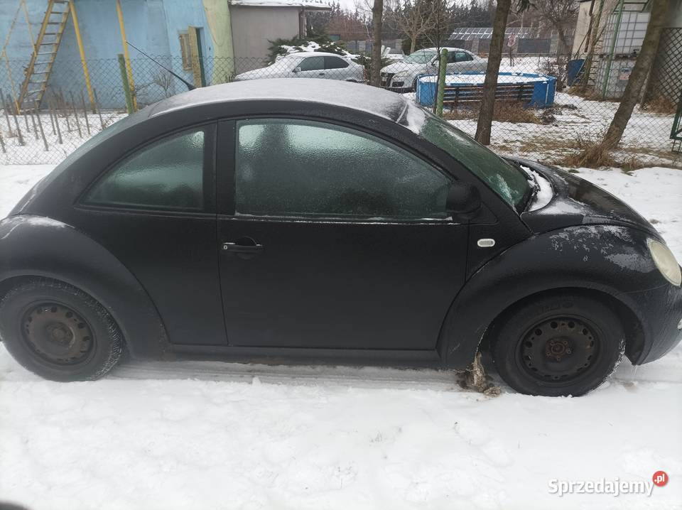 Beetle LPG kujawsko-pomorskie Toruń