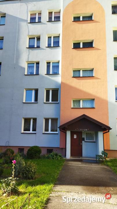 Mieszkanie 53 m2 1 piętro osPatronackie 3 pokoje Ostrowiec Świętokrzyski sprzedam