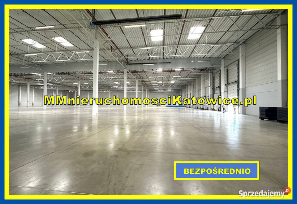 Magazyny hale do wynajęcia Ruda Śląska Klasa A winda sprzedam