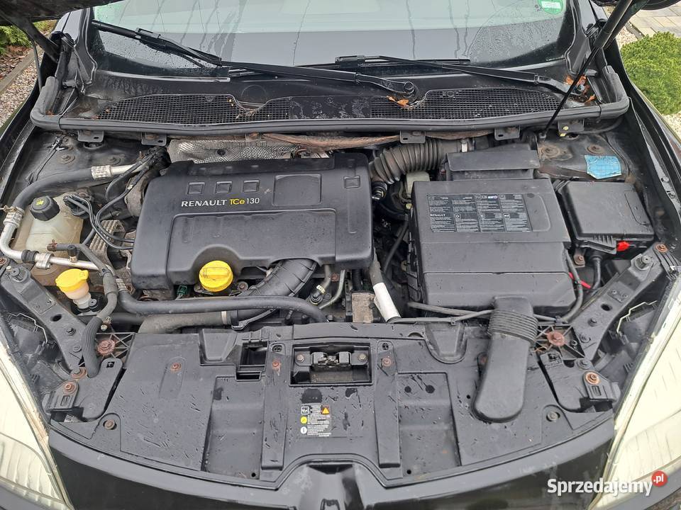 Renault Megane Szydłowiec