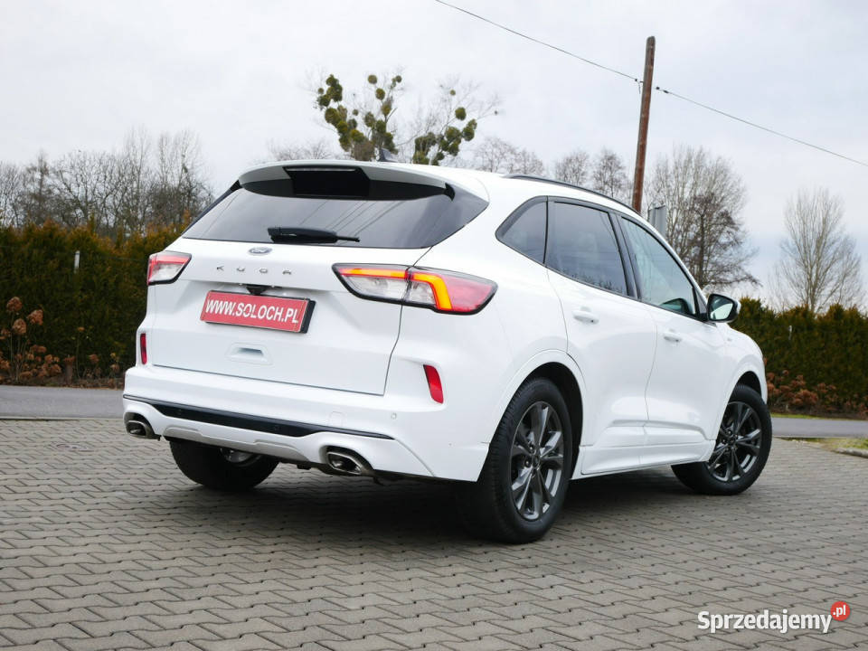 Ford Kuga 15 EcoBlue 120 Eu6 StLine Automat 8b tempomat Goczałkowice-Zdrój