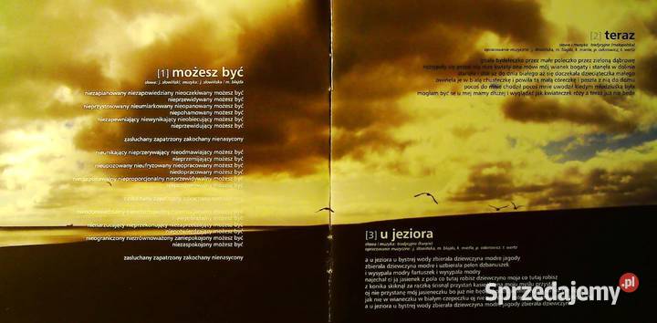Płyta DVD Możesz być Joanna Słowińska w DVD