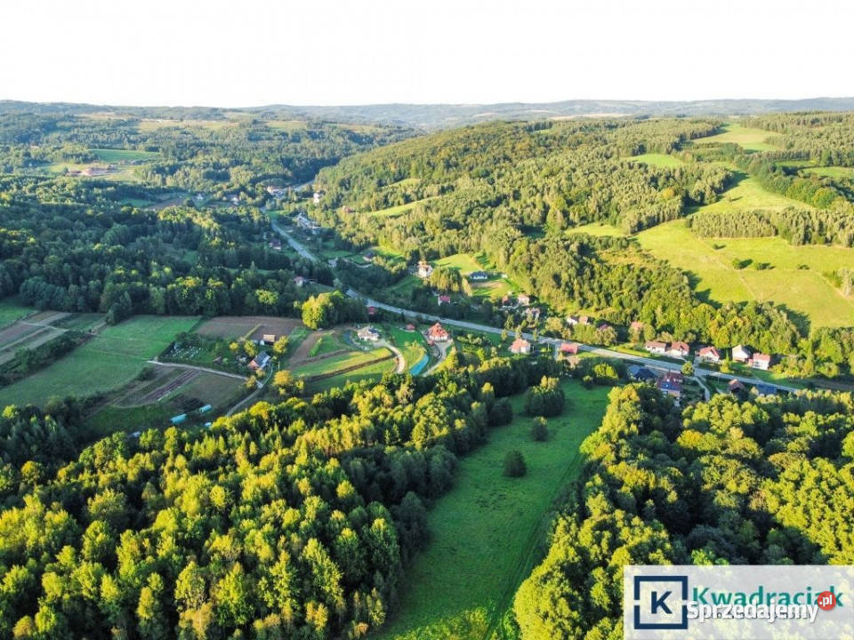 Grunt sprzedam Lutcza 44800m Grunty i działki