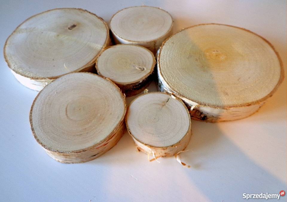 Plastry drewniane brzoza szlifowane 9 11 6sztuk Rybnik