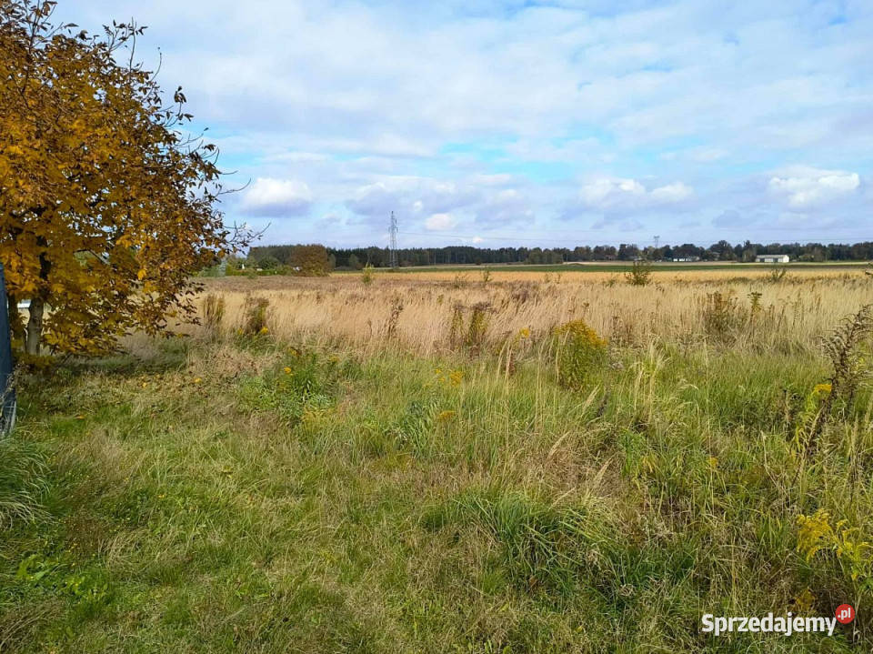 sprzedaży działki 1800m2 Pólko lubelskie sprzedam