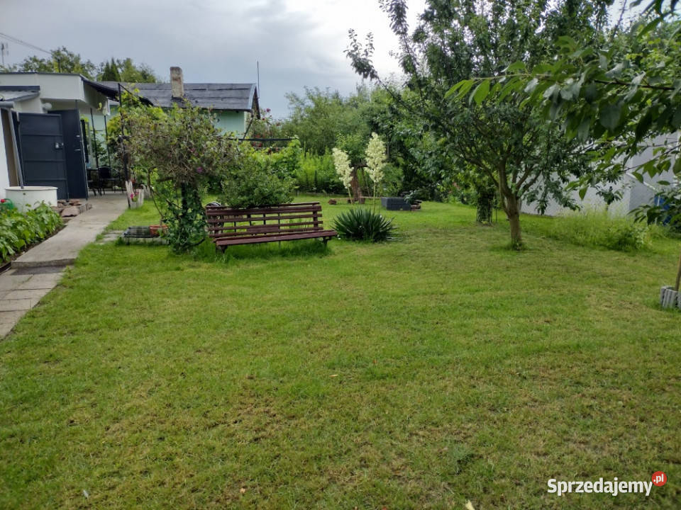 Działka ROD z domkiem 2026 Aleksandrów Kujawski