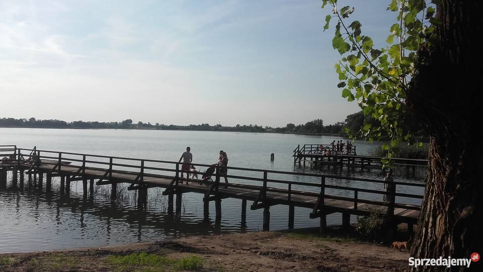 DZIAŁKA JEZIOREM kujawsko-pomorskie Kikół-Wieś