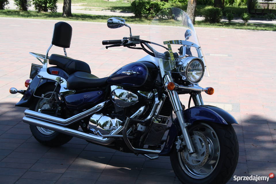 Suzuki boulevard intruder