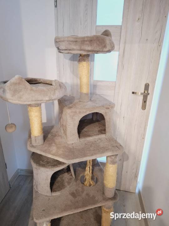 Drapak kota zadbanyduzy