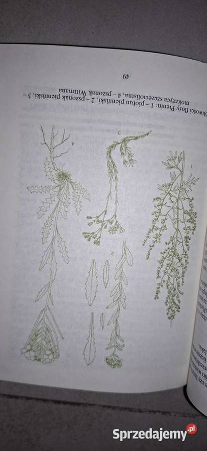 II wydanie botaniczno entomologiczne PWWP 1987 Łęczyca