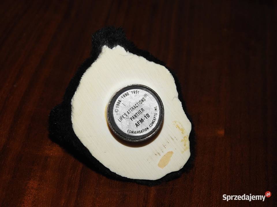 Pantera na magnes Pozostałe Przemyśl