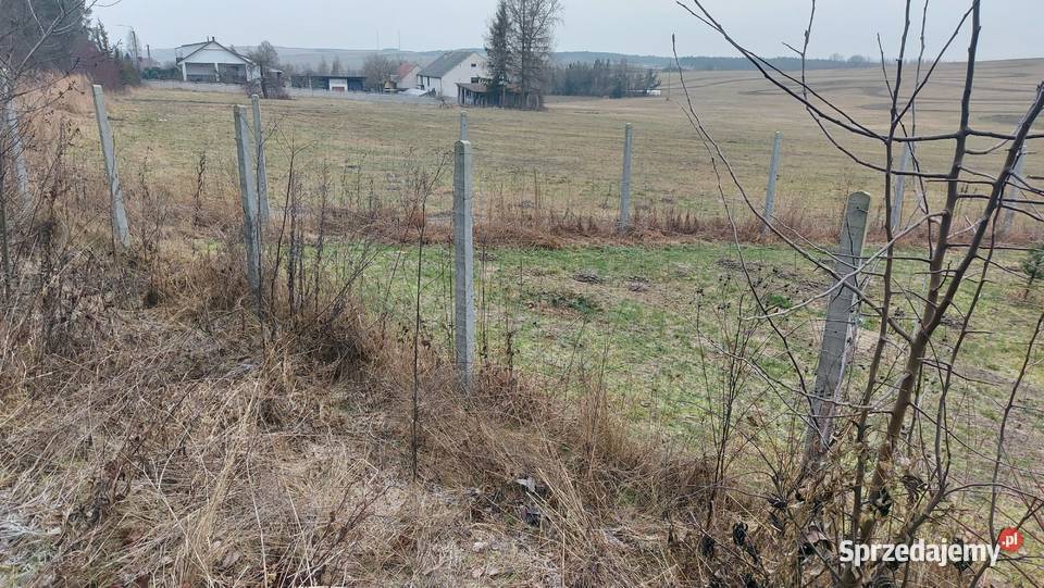 Sprzedam działki budowlane budowlana Krasocin sprzedam