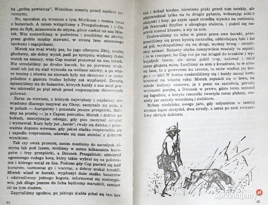 Opowieść pod psem a nawet pod dwoma Janusz lubelskie Chełm sprzedam