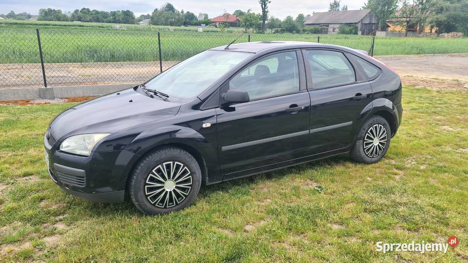 Fors Focus Wiewiórka