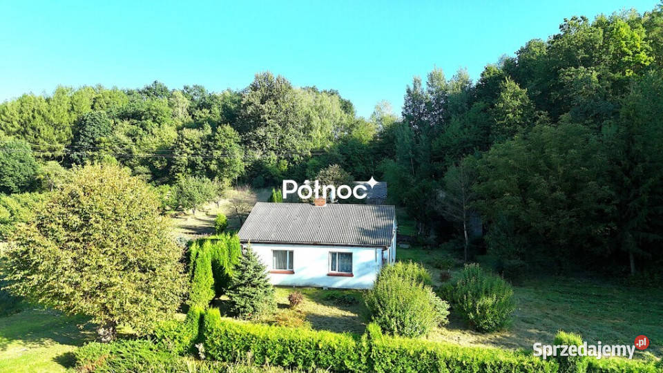 Siedlisko lesie w Skomorochach Dużych lubelskie