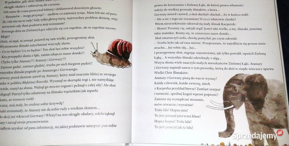 Pierwsze czytanki J Wilkoń R Leszczyński i inni twarda Chełm