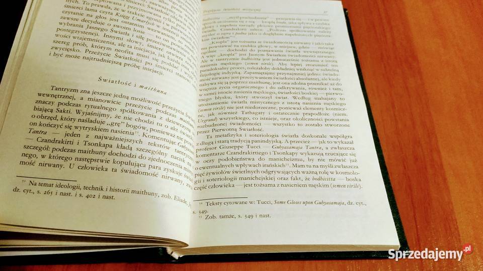 efistofeles i androgyn Mircea Eliade przeł Gdańsk