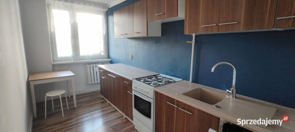 Do wynajęcia mieszkanie 2 pokoje z balkonem 49m2 Liczba pokoi 2 Katowice