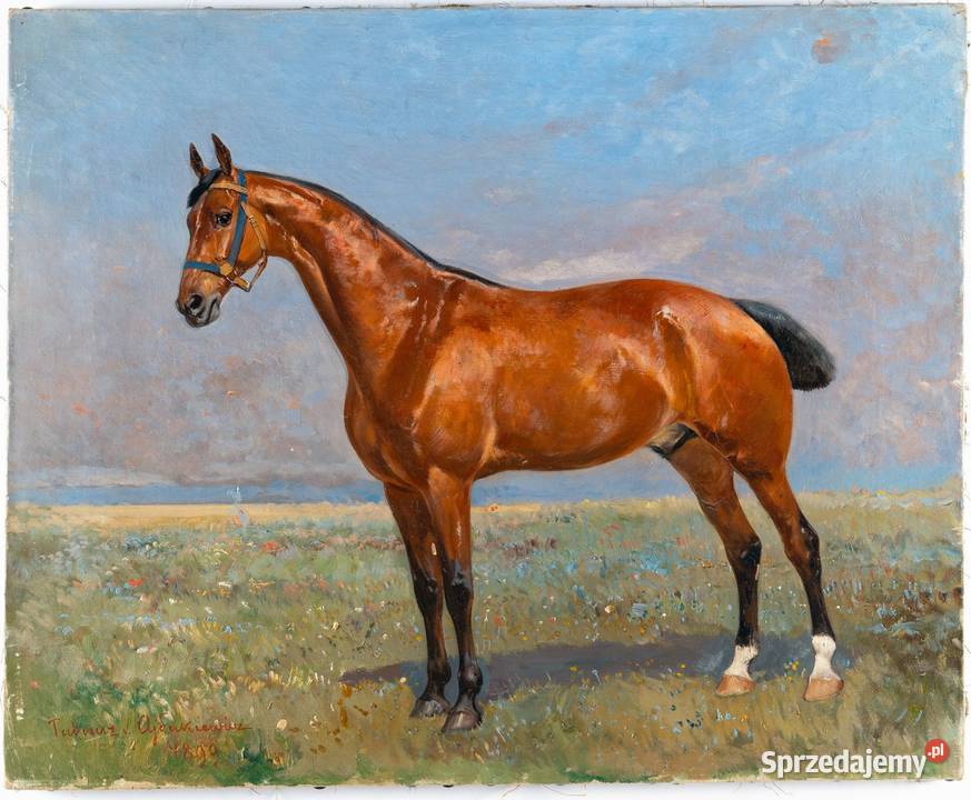 Tadeusz Ajdukiewicz 18521916 obraz Brązowy koń Poznań