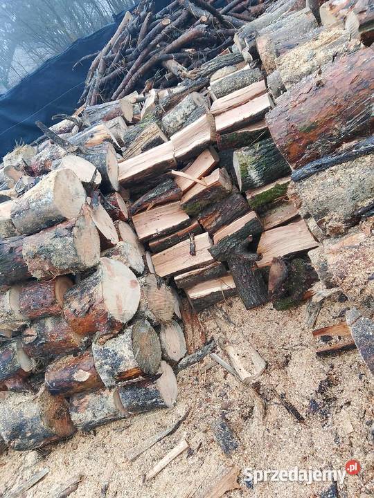 Suche Drewno kominkoweopałowe Dąbsosnabrzoza z