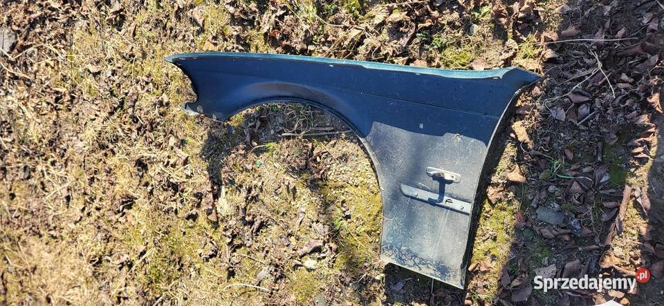 Błotnik Lewy Prawy BMW E 46 Przed FL różne małopolskie Żabno