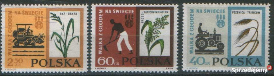 Zn Fi 1223 5 1963 Gliwice