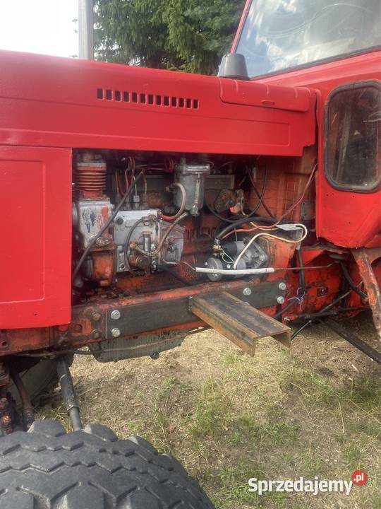 Ciągnik MTZ 82 Czerniejewo