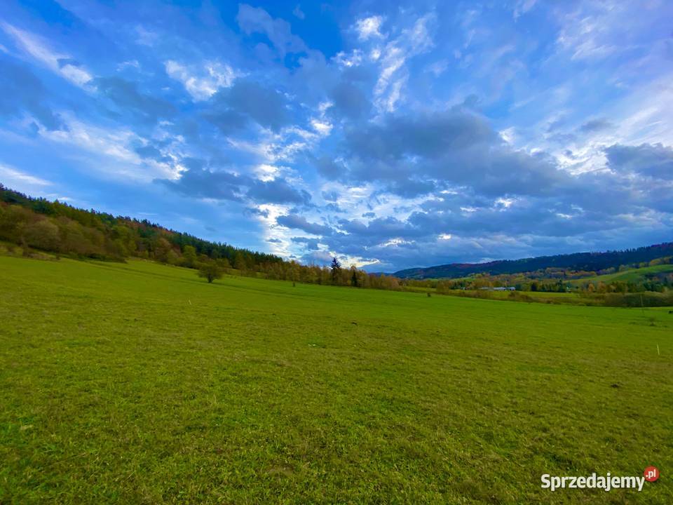 Działka na SprzedażBieszczady Zadwórze