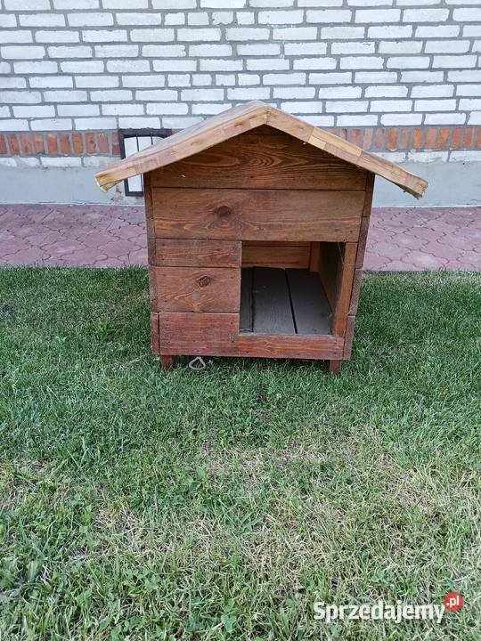 Buda psa Pińczyce sprzedam