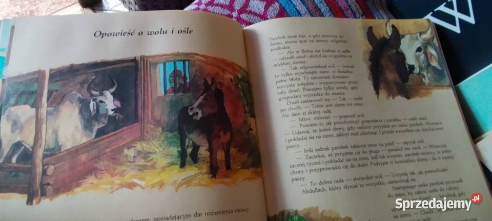 NAJPIĘKNIEJSZE BAŚNIE Z 1001 NOCY Książki dla dzieci Wolsztyn