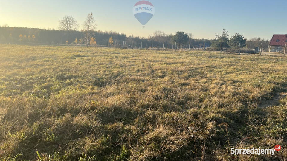 Działka budowlana Sprzedaż Józefów gm Pniewy