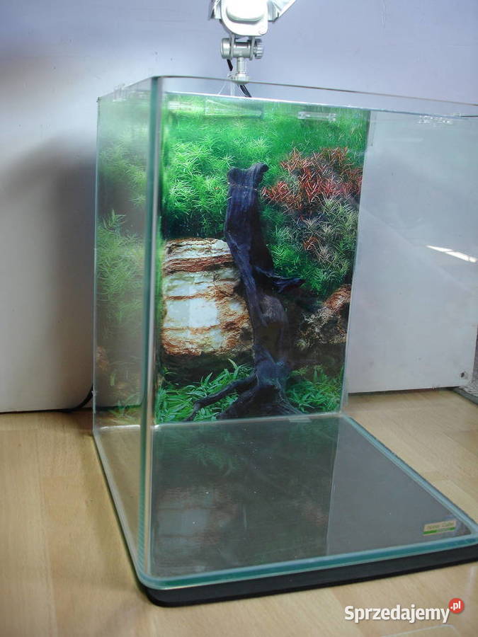 Akwarium 30L Zielona Góra