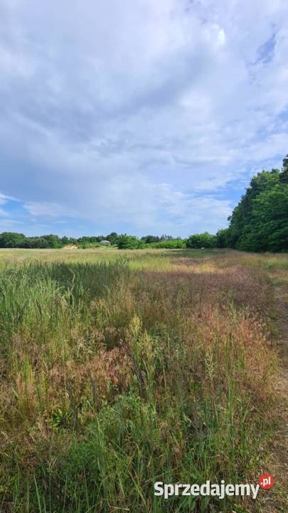Działka budowlana 813m osiedle KONIN Stare Zarzewek