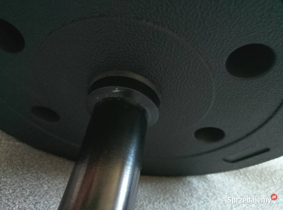 Gryf łamany 10 Warszawa